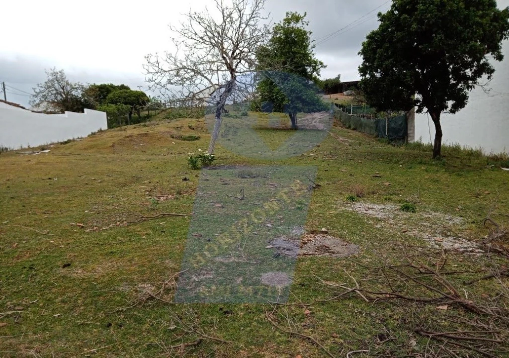 Terreno para Venda em Fermentelos Foto 1