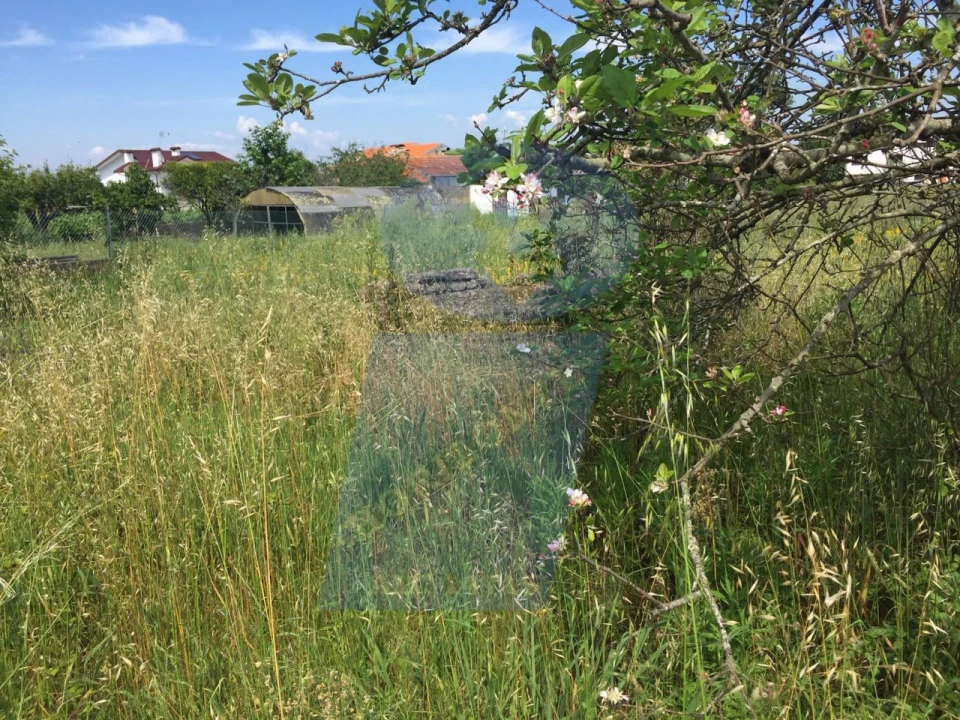 Terreno para Venda em São Lourenço do Bairro Foto 5