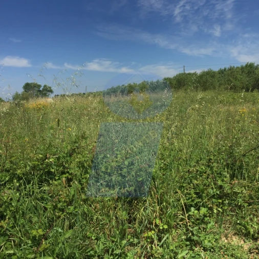Terreno para Venda em São Lourenço do Bairro Foto 2