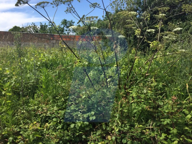 Terreno para Venda em São Lourenço do Bairro Foto 6