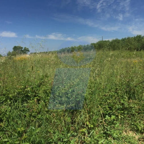 Terreno para Venda em São Lourenço do Bairro Foto 8