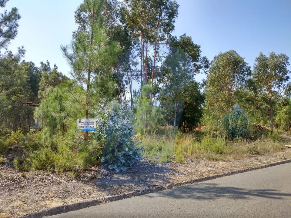 Terreno para Venda em Oliveira do Bairro Foto 1