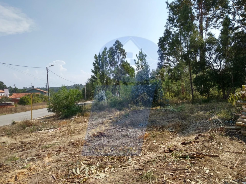 Terreno para Venda em Oliveira do Bairro Foto 2