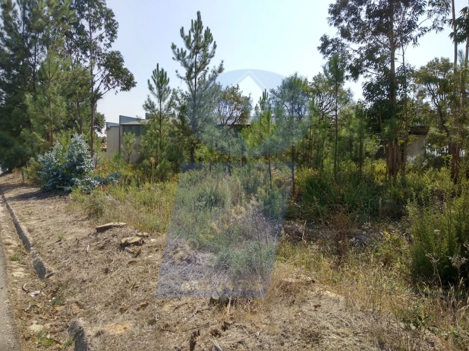 Terreno para Venda em Oliveira do Bairro Foto 3