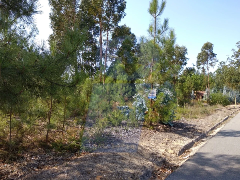 Terreno para Venda em Oliveira do Bairro Foto 4