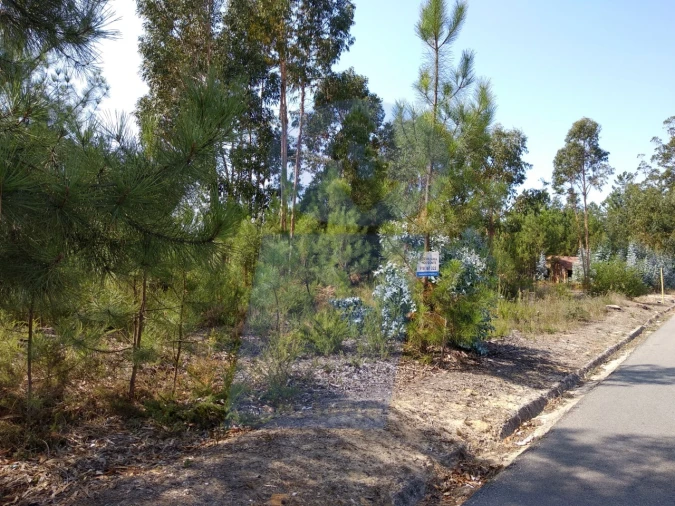Terreno para Venda em Oliveira do Bairro Foto 4
