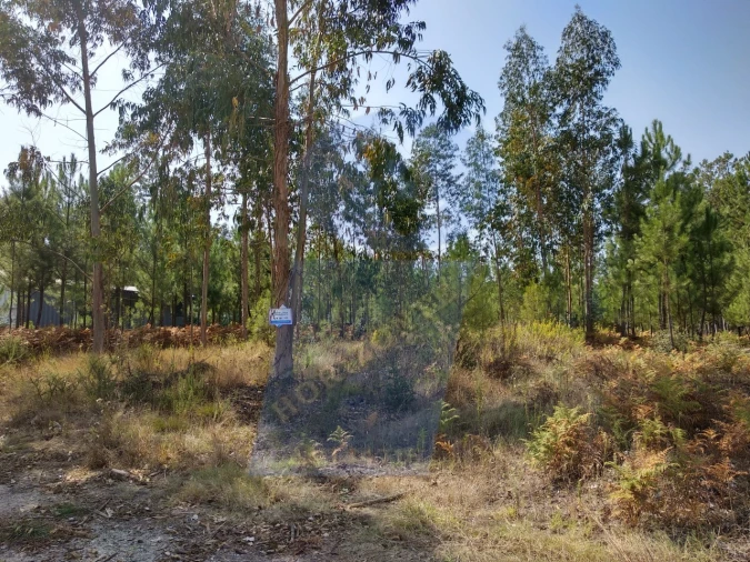 Terreno para Venda em Oliveira do Bairro Foto 5