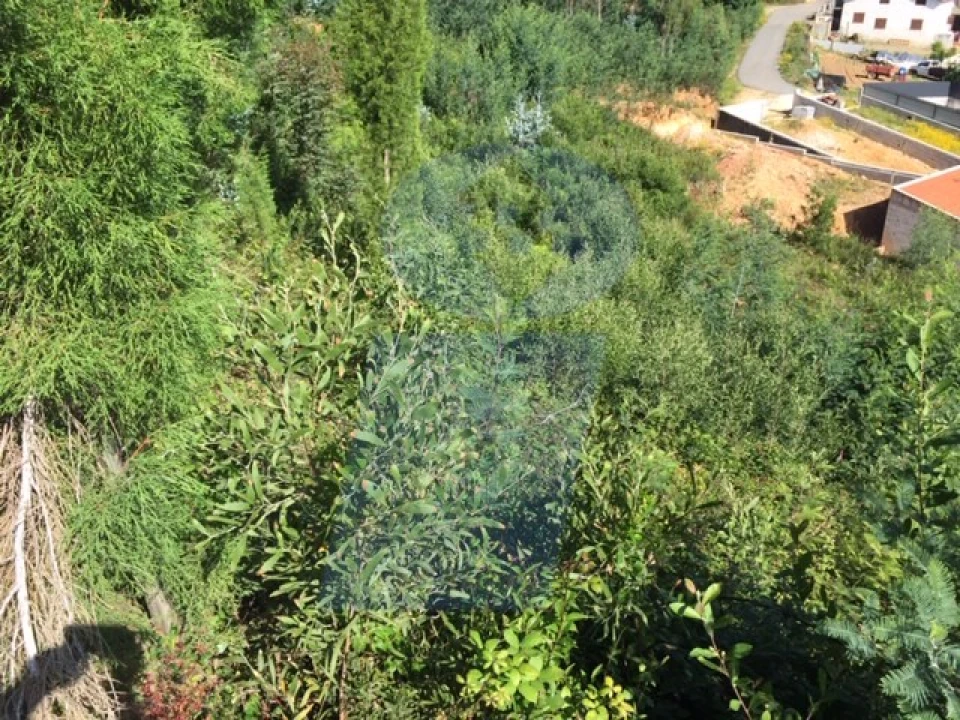 Terreno para Venda em Moita Foto 3