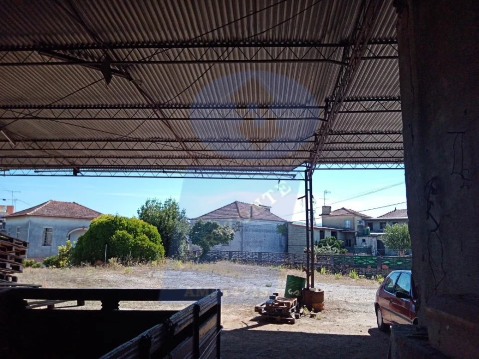 Terreno para Venda em Aguada de Cima Foto 6