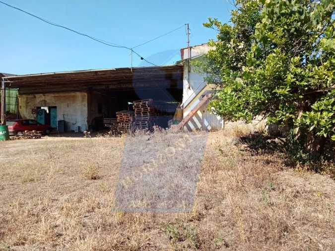 Terreno para Venda em Aguada de Cima Foto 5