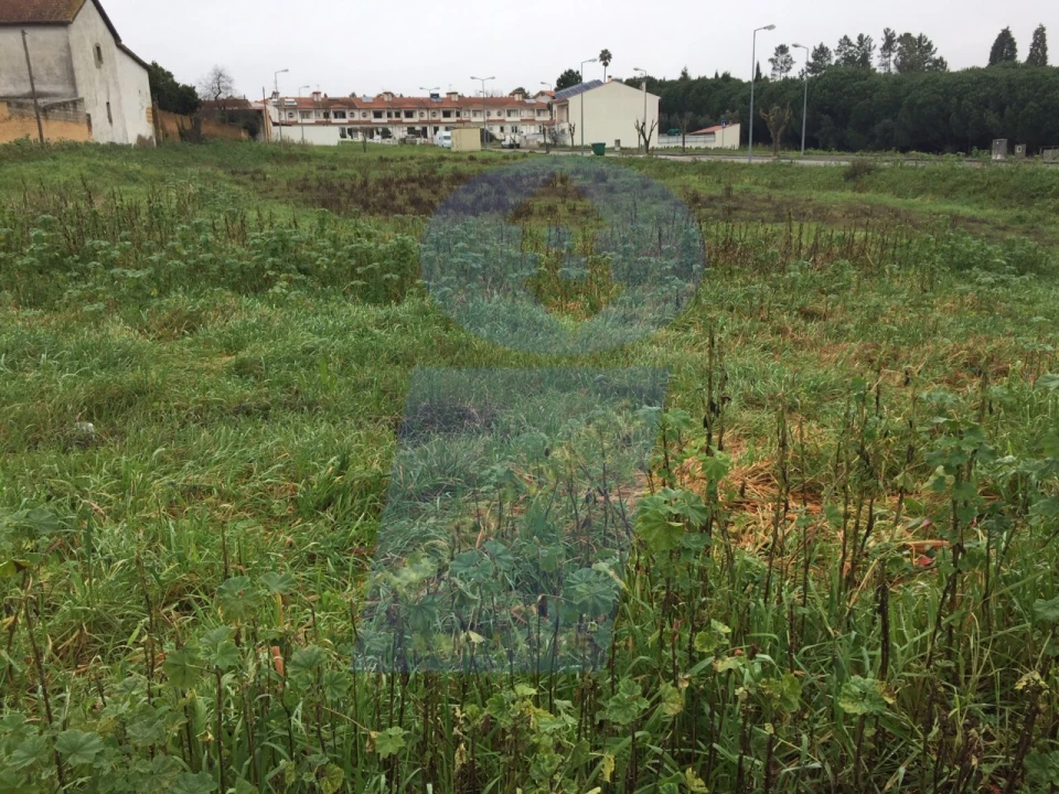 Terreno para Venda em Arcos e Mogofores Foto 1