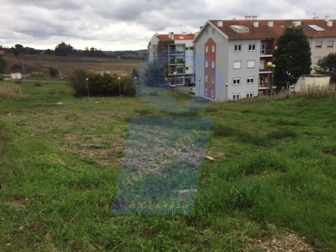 Terreno P/ Prédio para Venda em Oliveira do Bairro Foto 2