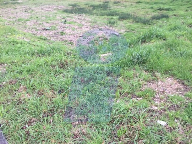 Terreno P/ Prédio para Venda em Oliveira do Bairro Foto 6