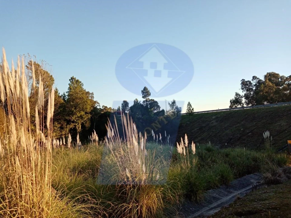 Terreno para Venda em Oliveira do Bairro Foto 2