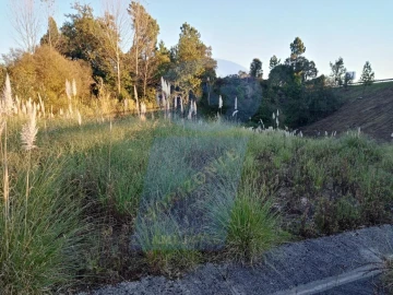 Terreno para Venda em Oliveira do Bairro