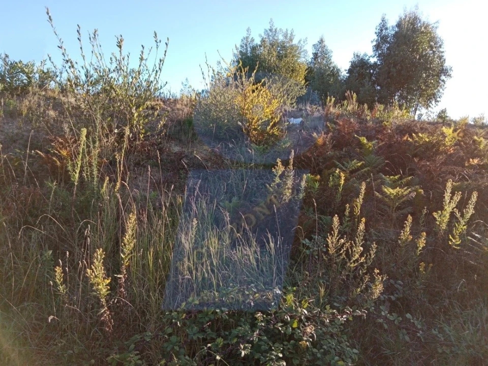 Terreno para Venda em Oiã Foto 4