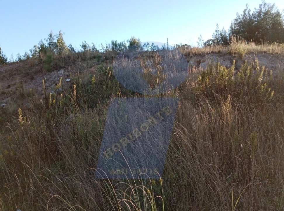 Terreno para Venda em Oiã Foto 5