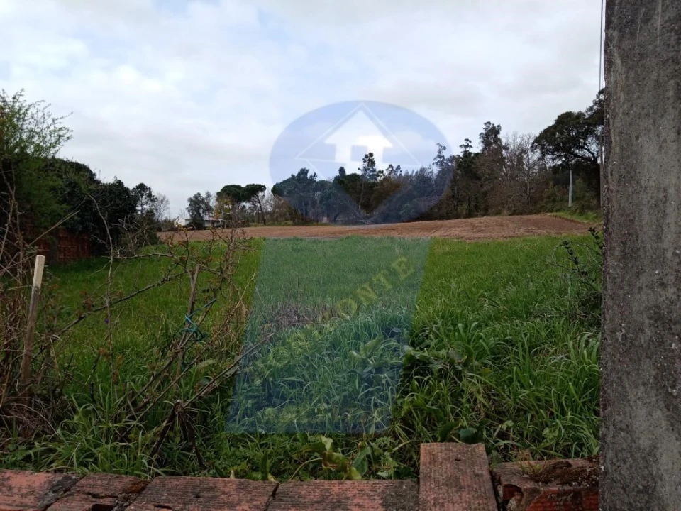 Terreno para Venda em Requeixo, Nossa Senhora de Fátima e Nariz Foto 2