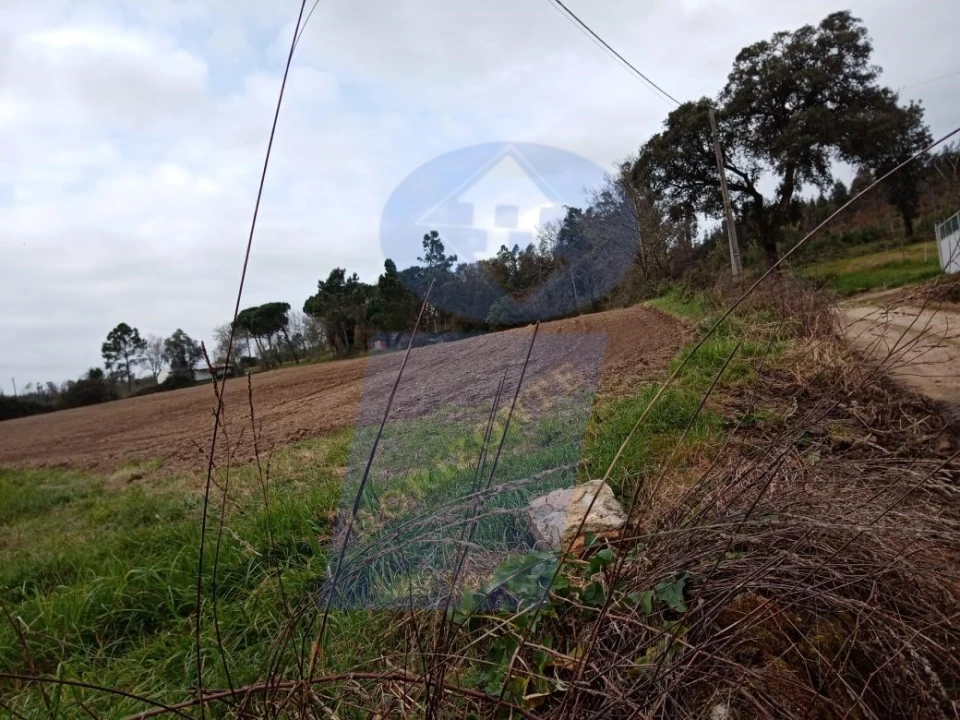 Terreno para Venda em Requeixo, Nossa Senhora de Fátima e Nariz Foto 4