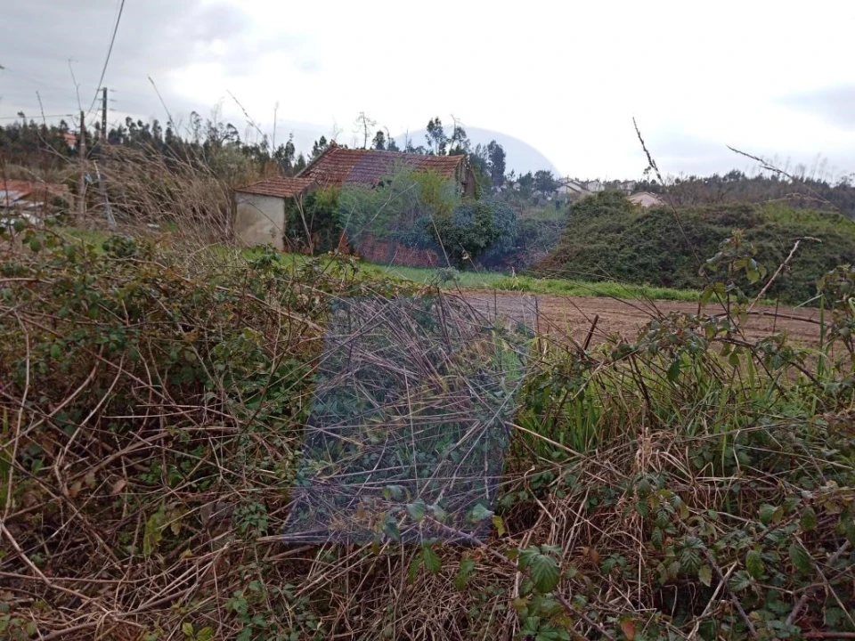 Terreno para Venda em Requeixo, Nossa Senhora de Fátima e Nariz Foto 5