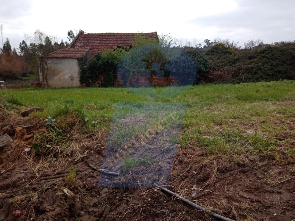 Terreno para Venda em Requeixo, Nossa Senhora de Fátima e Nariz Foto 3