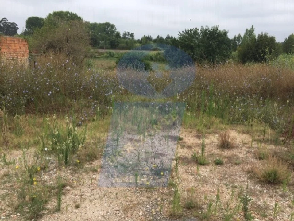 Terreno para Venda em Arcos e Mogofores Foto 3