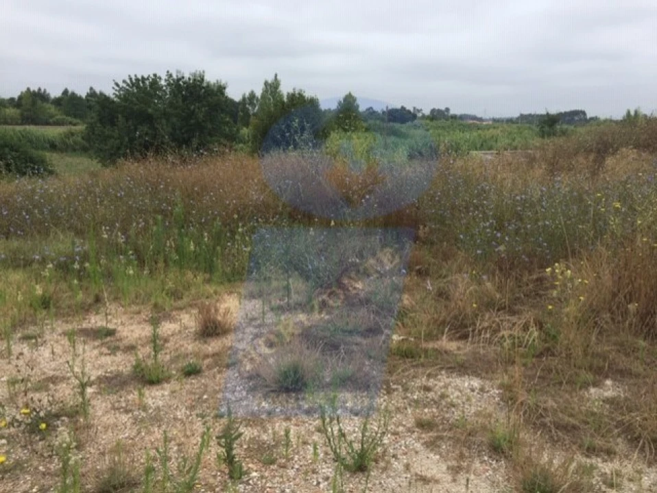 Terreno para Venda em Arcos e Mogofores Foto 1