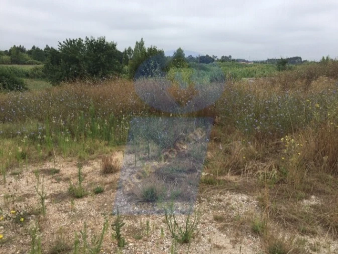 Terreno para Venda em Arcos e Mogofores Foto 1