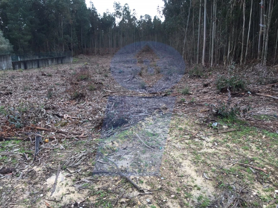 Terreno para Venda em Sangalhos Foto 4