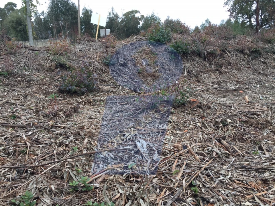 Terreno para Venda em Sangalhos Foto 2