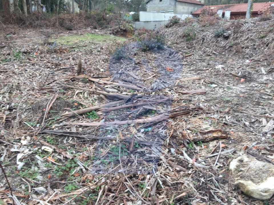 Terreno para Venda em Sangalhos Foto 5