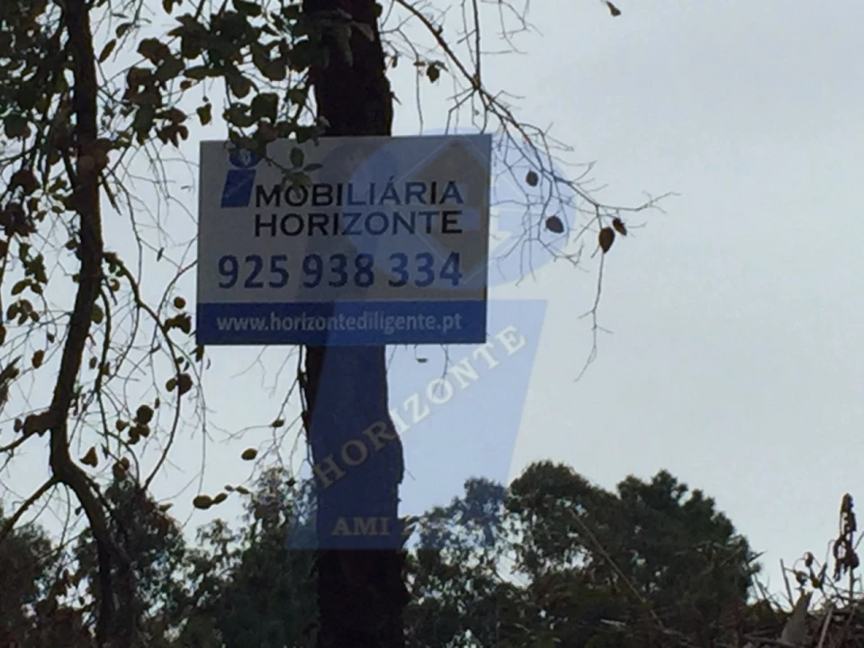 Terreno para Venda em Sangalhos Foto 3