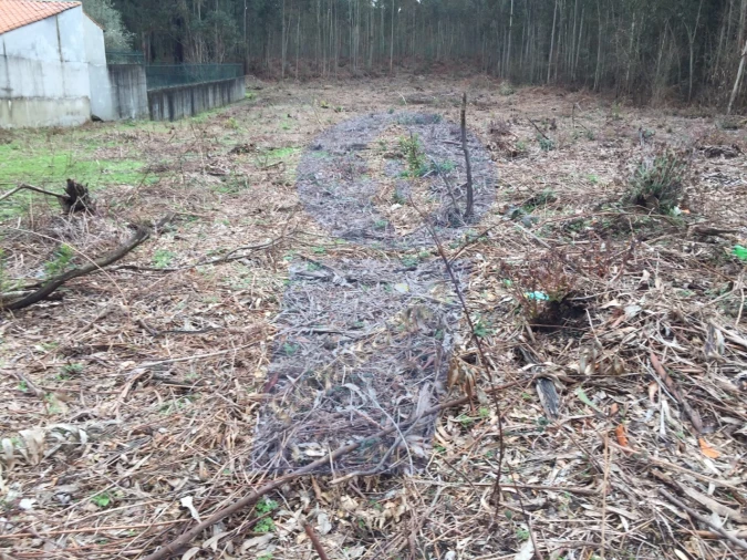 Terreno para Venda em Sangalhos Foto 1