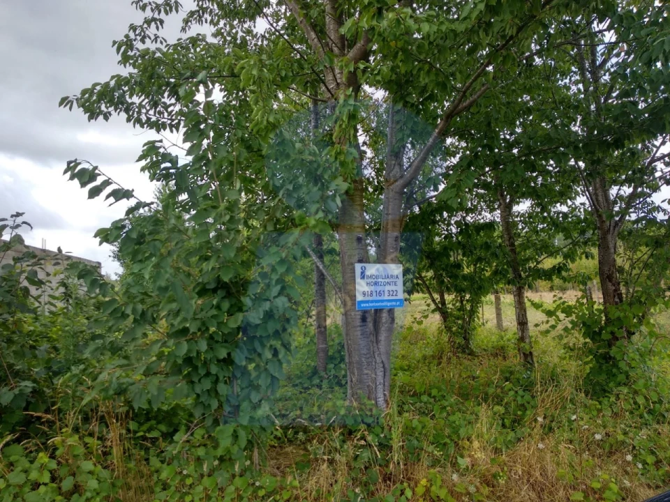 Terreno para Venda em Sangalhos Foto 1