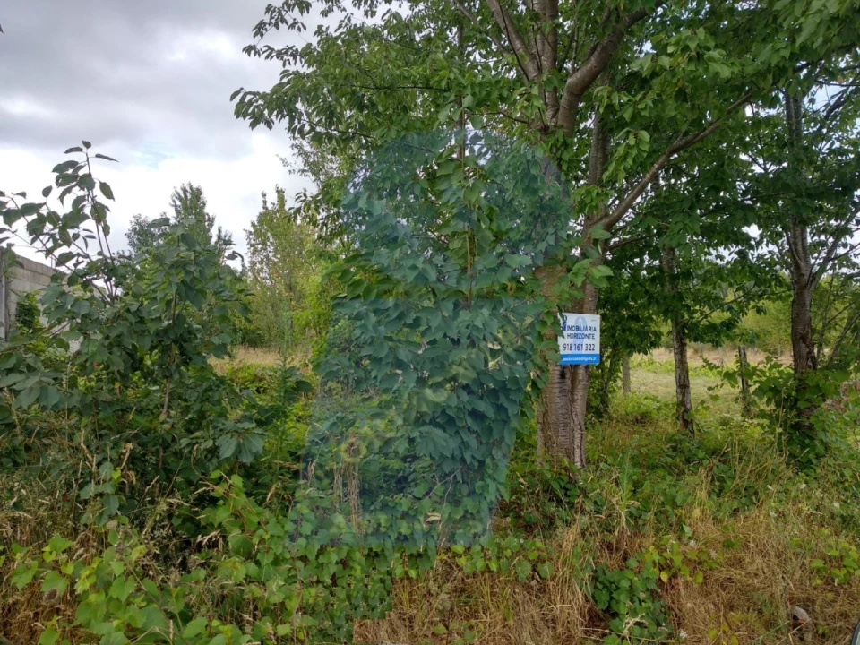 Terreno para Venda em Sangalhos Foto 3