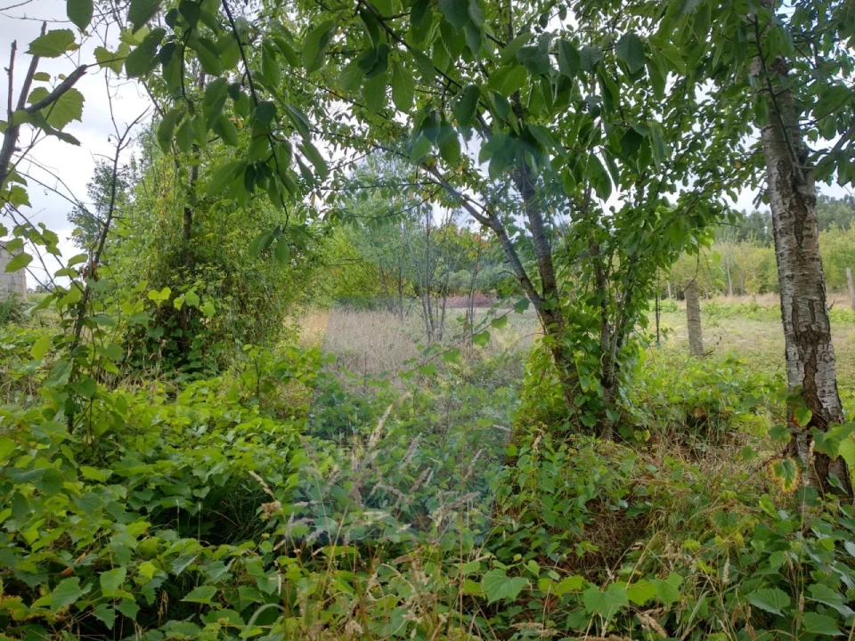 Terreno para Venda em Sangalhos Foto 2