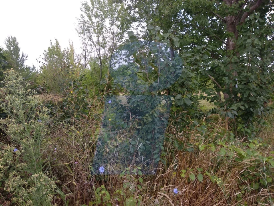 Terreno para Venda em Sangalhos Foto 5