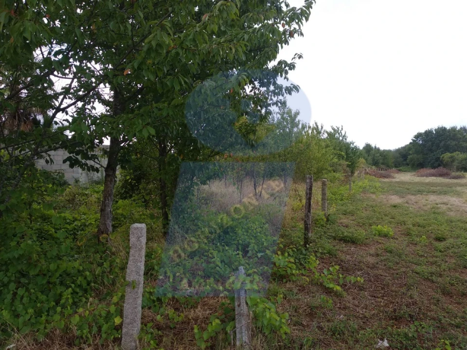 Terreno para Venda em Sangalhos Foto 7