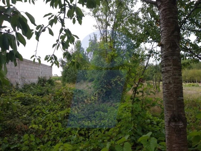 Terreno para Venda em Sangalhos Foto 4