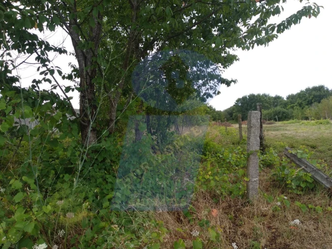 Terreno para Venda em Sangalhos Foto 6