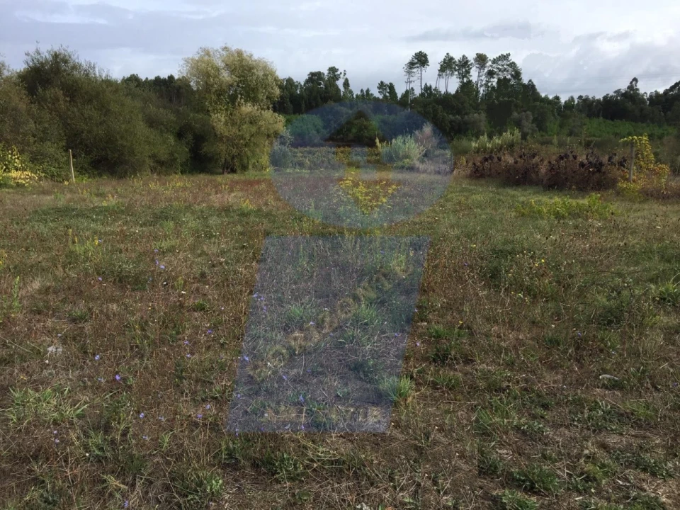 Terreno Agricola ou Rústico para Venda em Arcos e Mogofores Foto 3