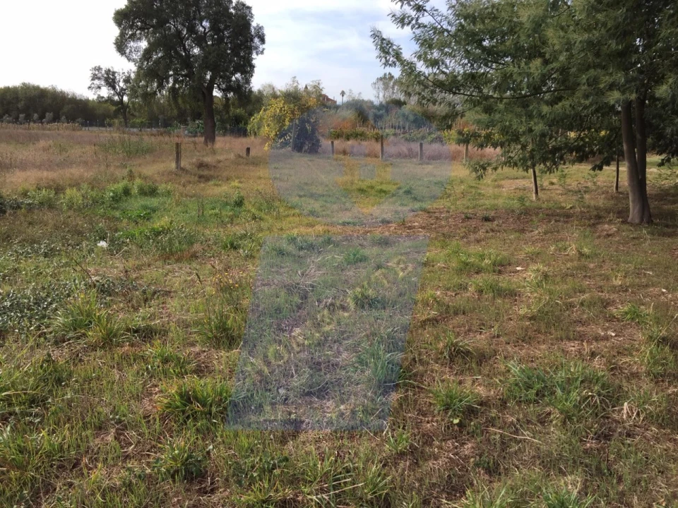 Terreno Agricola ou Rústico para Venda em Arcos e Mogofores Foto 6