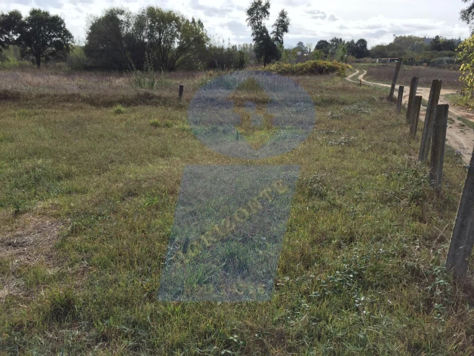 Terreno Agricola ou Rústico para Venda em Arcos e Mogofores Foto 2