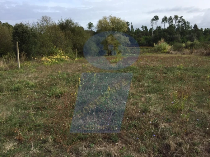 Terreno Agricola ou Rústico para Venda em Arcos e Mogofores Foto 4