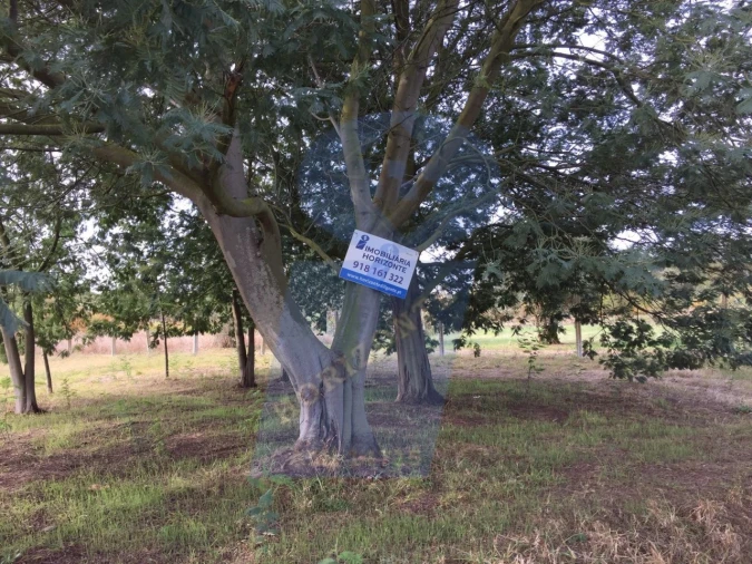 Terreno Agricola ou Rústico para Venda em Arcos e Mogofores