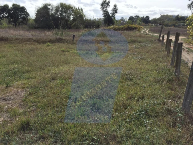 Terreno Agricola ou Rústico para Venda em Arcos e Mogofores Foto 2