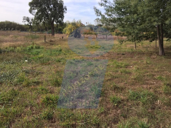 Terreno Agricola ou Rústico para Venda em Arcos e Mogofores Foto 8