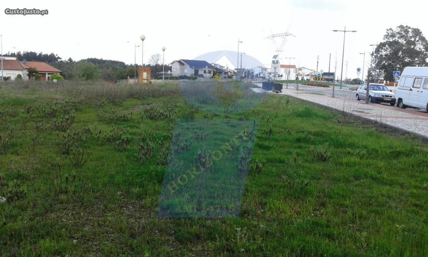 Terreno para Venda em Oliveira do Bairro Foto 2