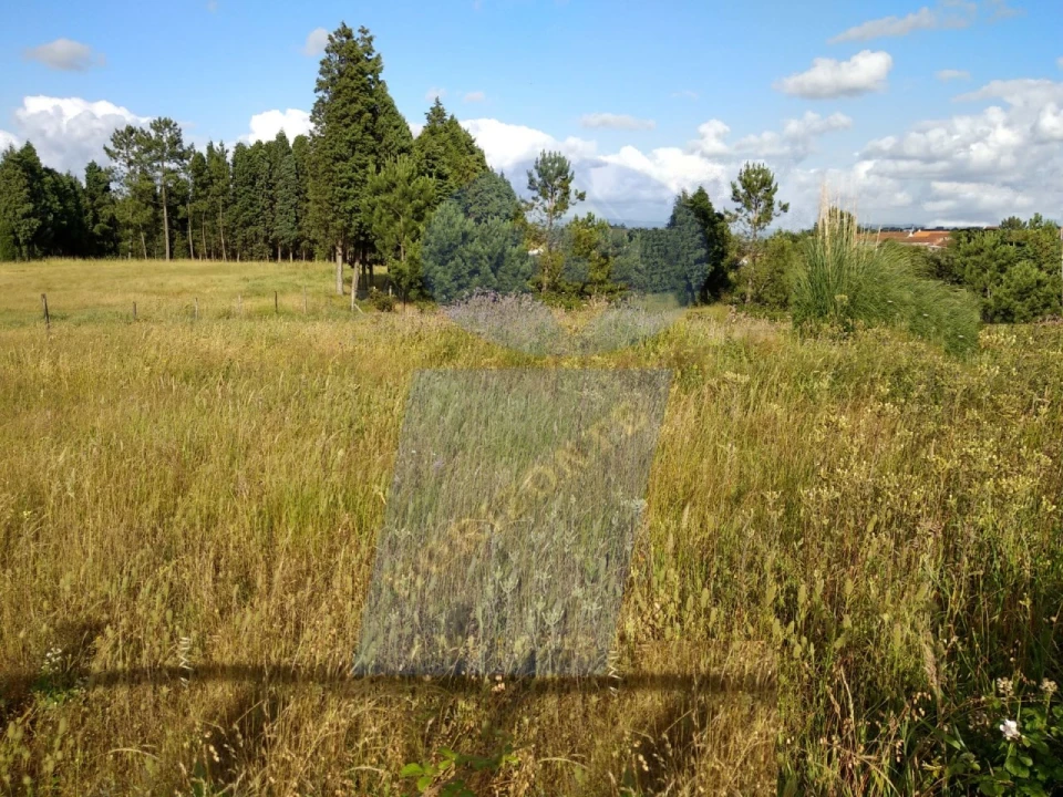 Terreno para Venda em Requeixo, Nossa Senhora de Fátima e Nariz Foto 2