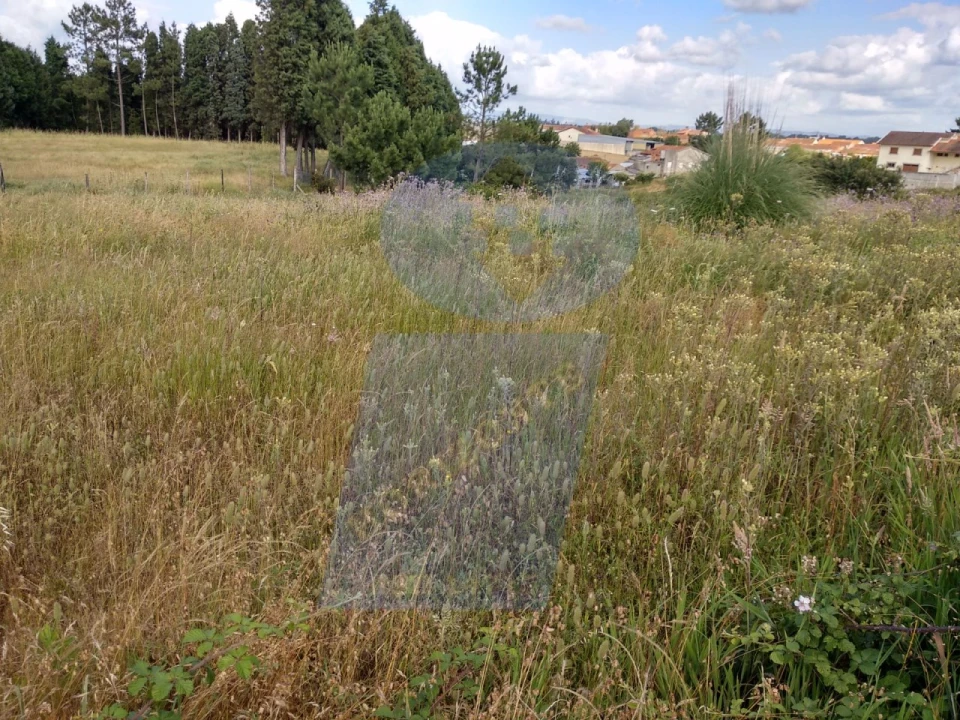Terreno para Venda em Requeixo, Nossa Senhora de Fátima e Nariz Foto 3